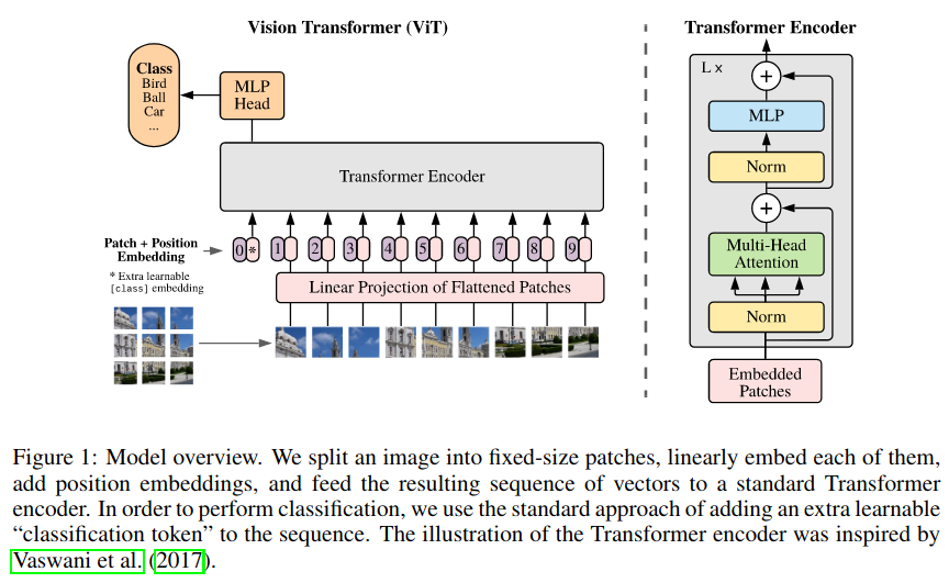 Vision Transformer from https://arxiv.org/abs/2010.11929