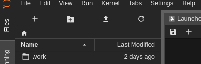 Work jupyter directory